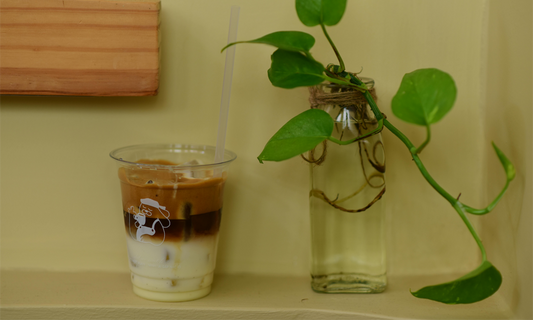 Cold Brew to Nitro Tap: Building a Foolproof Home Coffee Keg System