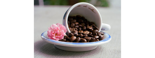 4 Coffee Beans and Coffee Types You Can Use to Make Nitro Coffee Brew