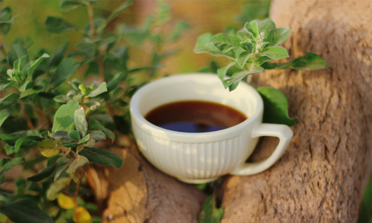 Beyond Cold Brew: How Coffee Kegs Unlock Nitro, Infusions, and Next-Level Home Brewing