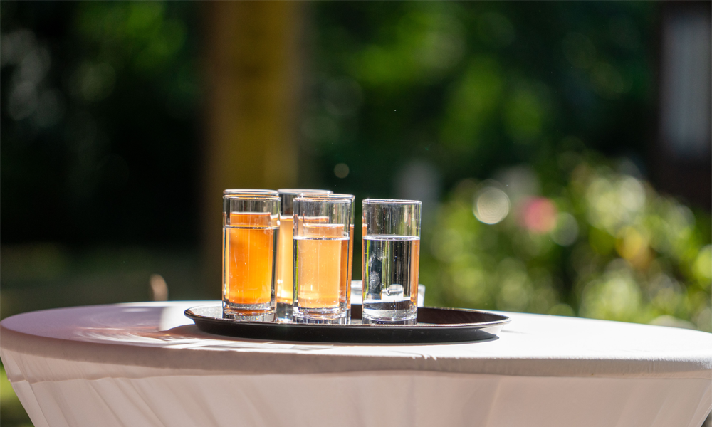 Can You Travel With a Mini Keg? Tips for Taking Draft Drinks Beyond Your Kitchen