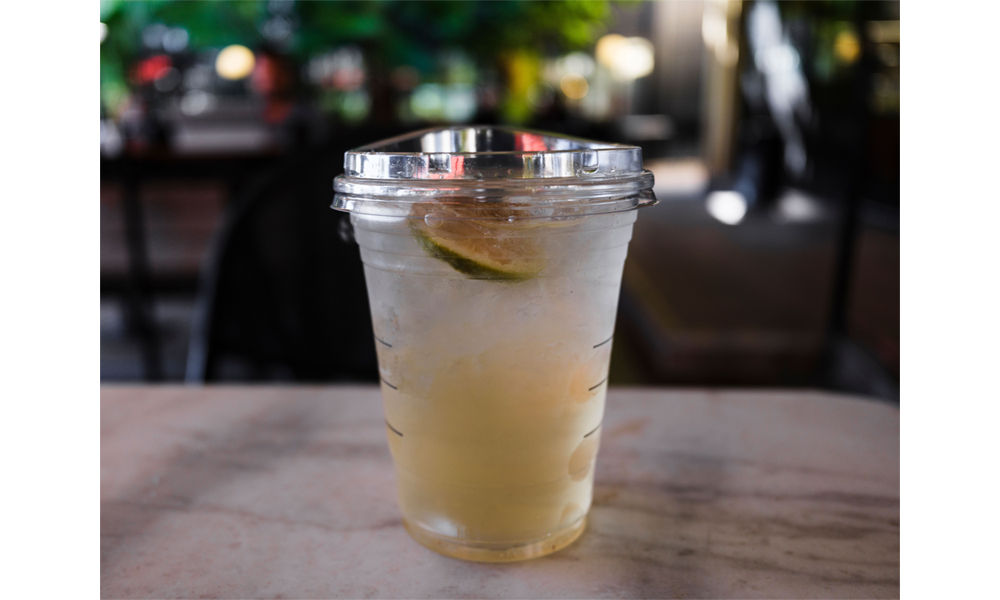 Mini Keg vs. Growler: Which One Is Better for Taking Draft Drinks on the Go?