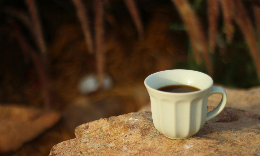 Tap Into Coffee Innovation: Using Coffee Kegs for Nitro, Cold Brew Storage, and Draft Serving