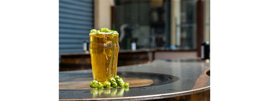 What to Do When Your Mini Keg Doesn’t Carbonate Drinks Properly: Troubleshooting Common Issues